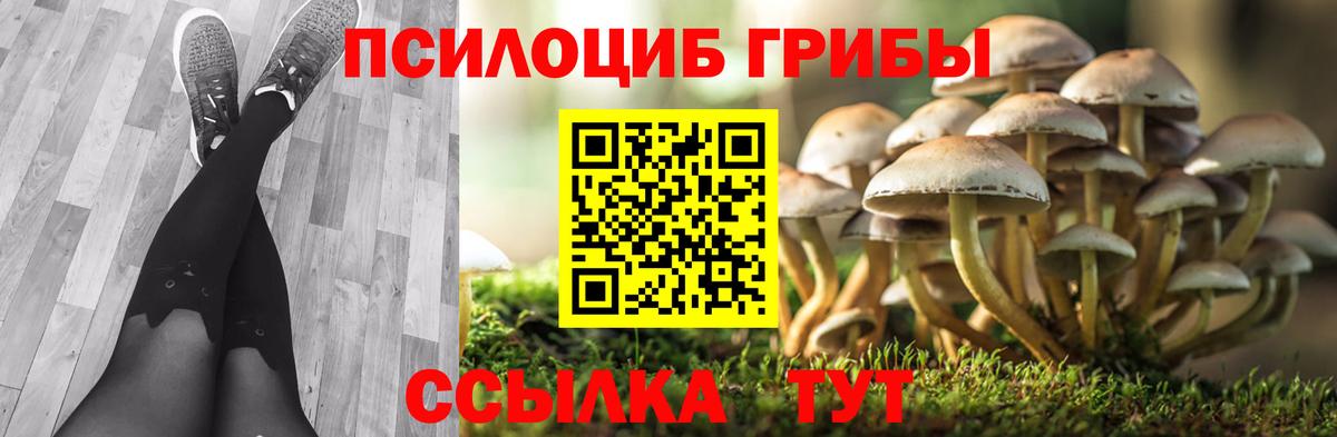 Галлюциногенные грибы GOLDEN TEACHER  Галлюциногенные грибы GOLDEN TEACHER  Вход с VPN  Прокопьевск 