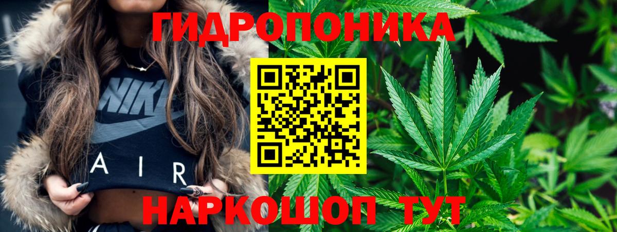Конопля SATIVA & INDICA Прокопьевск